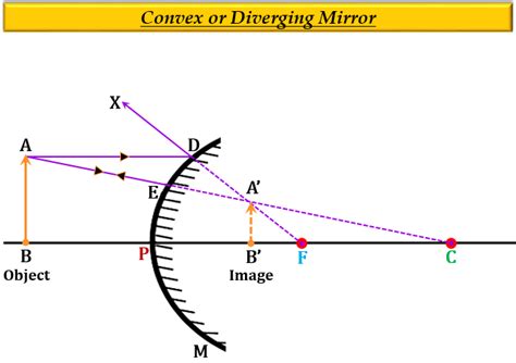 A Draw A Labelled Ray Diagram To Show The Formatio Tutorix