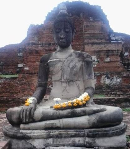 Ayutthaya Buddha Tree