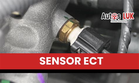 Sensor ECT Automotriz Qué es y Funcionamiento