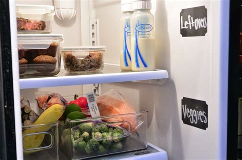 How To Organize Your Refrigerator And Freezer The Whole Way