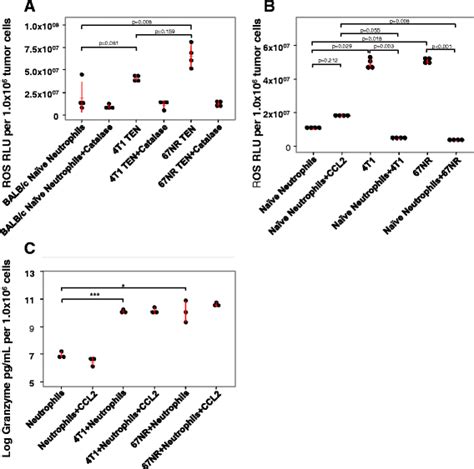 Tumor Entrained Neutrophils Produce Greater Amounts Of Ros Than Naïve Download Scientific