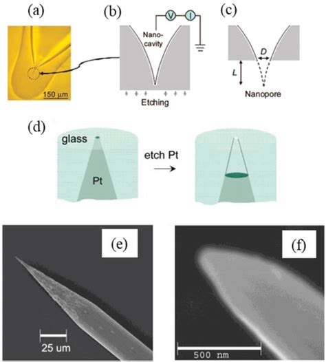 Nanopipettes And Glass Nanopores A Nanopipette Fabrication From A