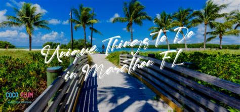 25 Unique Things To Do In Marathon Florida Your Ultimate Guide Coco Plum Vacation Rentals