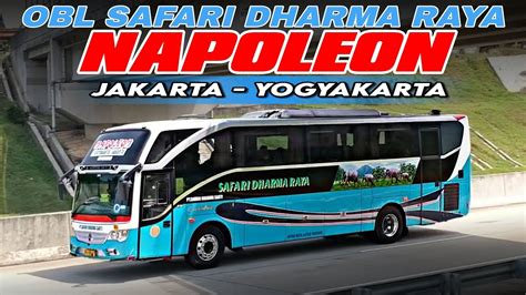 Gajah Temanggung Safari Dharma Raya Napoleon Bus Cepat Dan Nyaman