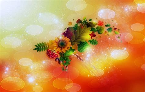 Wallpaper Leaves Light Flowers Berries Collage Ear Bouquet Blik