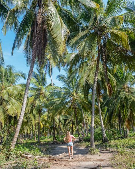 5 BEST Tayrona National Park Tours from Santa Marta - Destinationless ...