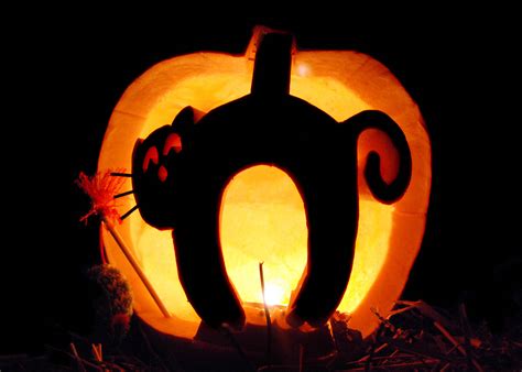 10 Cat Pumpkin Carving Ideas