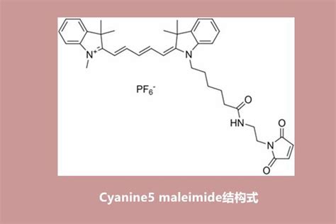 荧光试剂知识整理1437872 46 2Cyanine5 maleimide花青素CY5 马来酰亚胺 哔哩哔哩