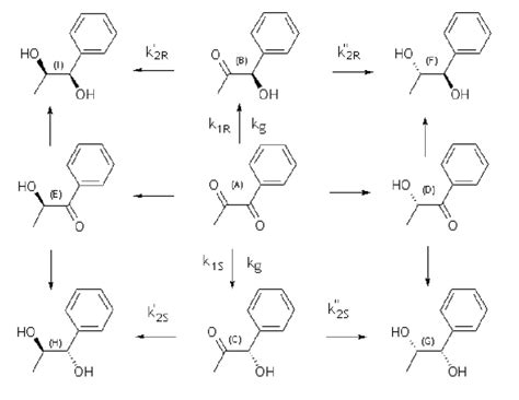 Reaction Scheme Of The Hydrogenation Of A Phenyl Propanedione