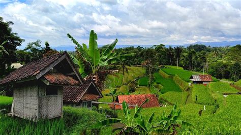 Pasti Betah Tinggal Di Sini Kampung Indah Dan Sejuk Di Tengah Sawah