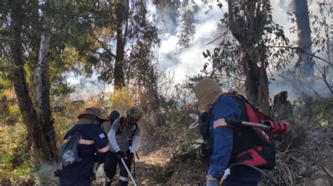 Reportan Un Incendio De Magnitud En El Parque Tunari Los Tiempos