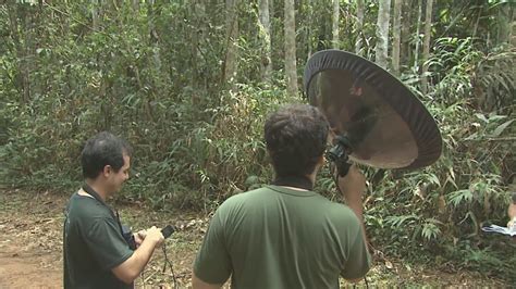 Rede Globo Redeamazonica Biodiversidade Em Roraima Foi Tema Da