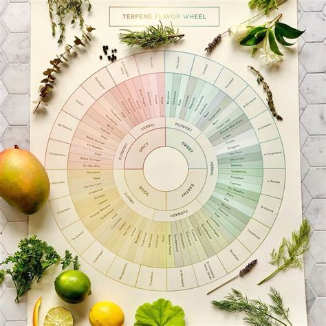 Printable Terpene Chart