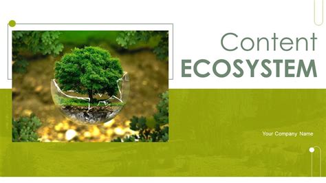 Content Ecosystem Powerpoint Ppt Template Bundles