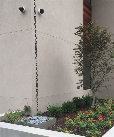 Design Ideas For Managing Rainwater In Your Garden FineGardening