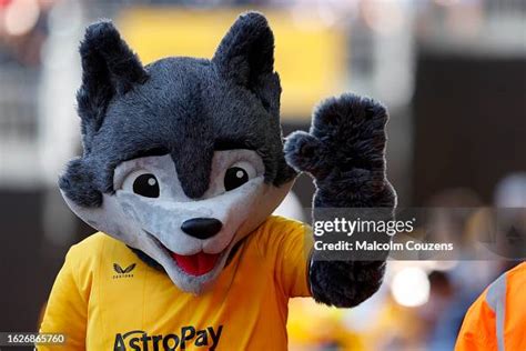 The New Look Wolverhampton Wanderers Mascot Wolfie During The News