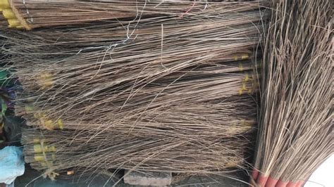 Coconut Stick Plastic Jhadu At Rs Piece In New Delhi Id