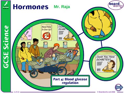 Gcse Hormones Pt4 Blood Glucose Regulation Teaching Resources