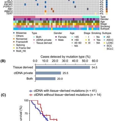 Association Of Postoperative Ctdna Mutation Types With Patient Outcome