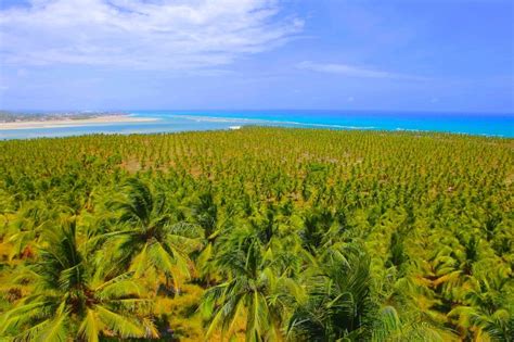 Melhores Praias De Macei As Mais Bonitas Calmas E Paradis Acas