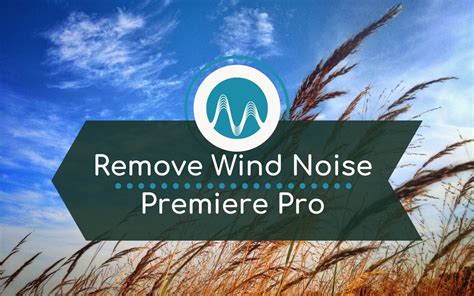 How to Remove Wind Noise in Premiere Pro