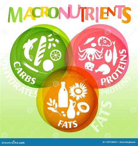 Macronutrients Principais Dos Grupos De Alimento Ilustração Do Vetor Ilustração De Carta