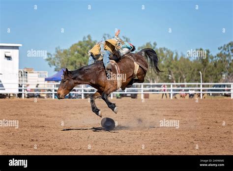 Cowboy Rides Bucking Horse In Bareback Bronc Event At A Country Rodeo