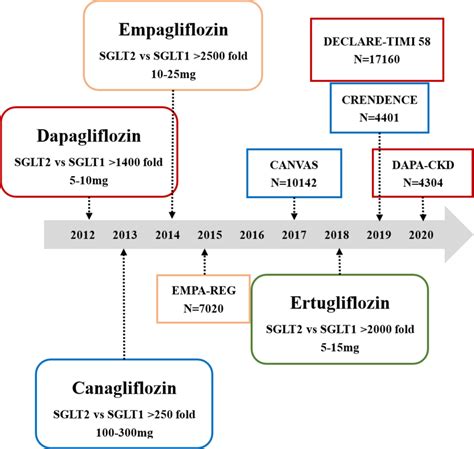 History Selectivity And Dose Of Dapagliflozin Canagliflozin