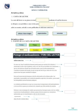 Carta De Lector Ficha Interactiva Topworksheets