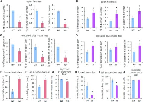 Deletion Or Overexpression Of The Mir Cluster In Adult Neural