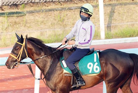 【小倉2歳s】角田大河騎手が今村聖奈騎手との幼なじみ対決へ向け闘志！「僕も負けじと頑張りたい」 Umatoku 馬トク