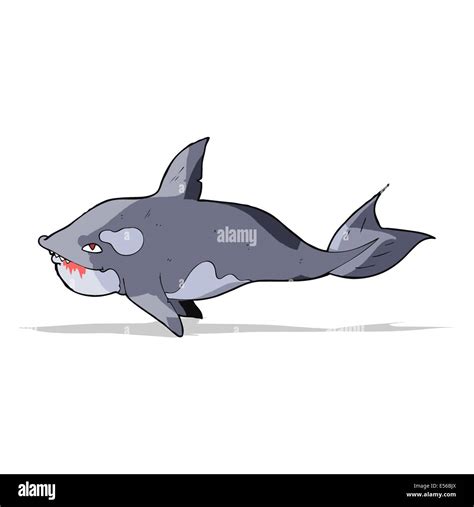 cartoon killer whale Stock Vector Image & Art - Alamy