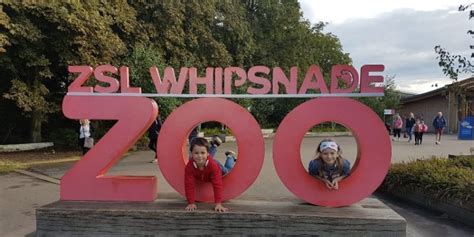 Whipsnade Zoo Tickets 2024 | Book TicketsToDo Online