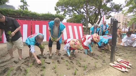 早乙女姿の巫女が苗を植え付け ”豊作””農業発展”祈る「御田植祭」 Youtube