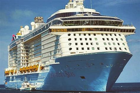 Royal Caribbean Passenger Goes Overboard On Trip To Hawaii Breaking News