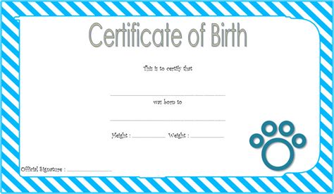 Cute Birth Certificate Template 16 Complete Designation