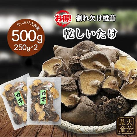 送料無料 博多食材工房 乾椎茸 割れ欠け椎茸250g×2袋500g 067 600 2 067 600 2博多食材工房プロ 通販