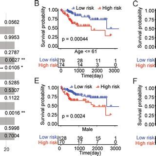 Risk Score Is An Independent Prognostic Signature For HCC A The Forest