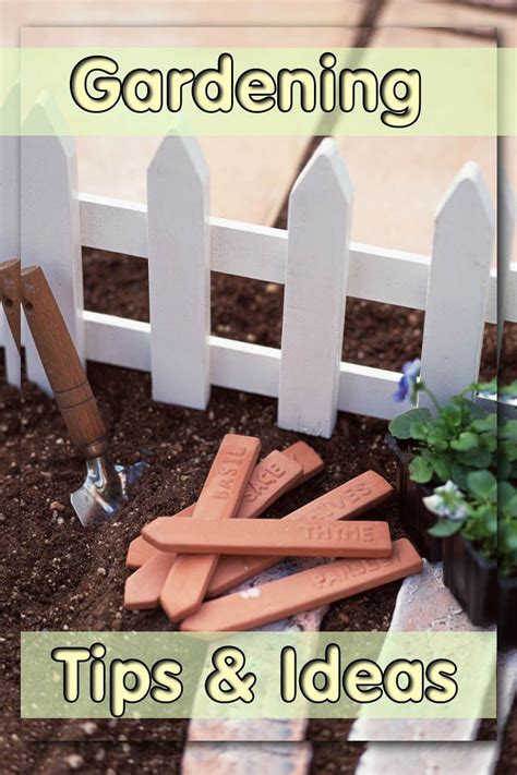 Garden Tricks Ideas Worth A Look Sharonsable