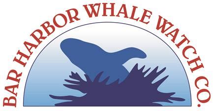 Bar Harbor Whale Watch | Water Activities - Bar Harbor Chamber of ...