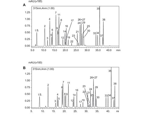 Reverse Phase High Pressure Liquid Chromatography Rp Hplc