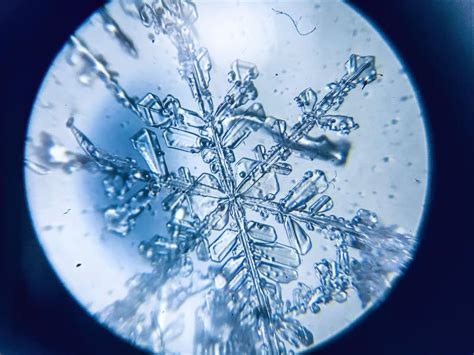 Flocon De Neige Cristal De Glace Stellaire Dendrite Sous Microscope