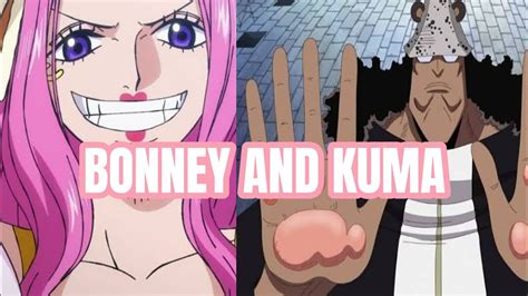 MISTERI KUMA SIAPAKAH KUMA SEBENARNYA PERTEMUAN BONNEY DAN KUMA