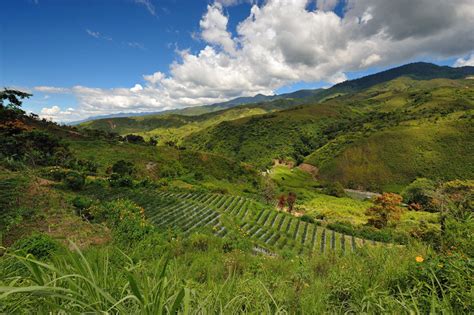 Kerinci Seblat National Park | Sumatra | Roamindonesia.com