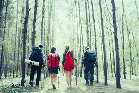 Caminhantes Caminhando Em Montanhas Casal Jovem Andando Mochilas