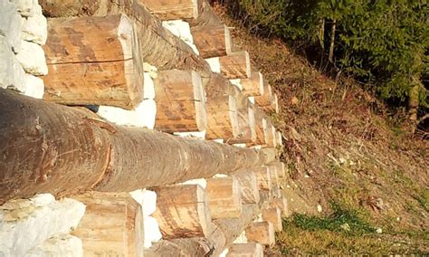 Ripristino Ambientale E Difesa Idraulica Pali Di Legno Gorza S R L