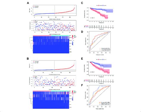 Construction And Validation Of Prognostic Signatures Of Download