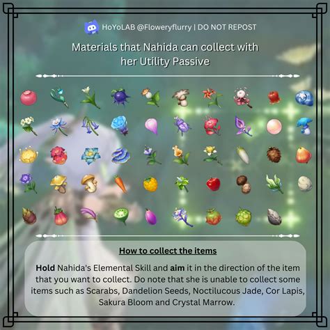 Version Materials That Nahida Can Collect With Her Utility