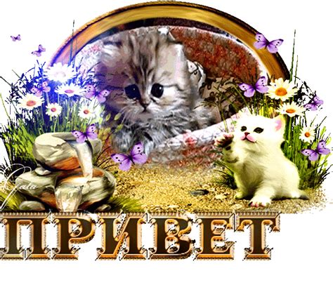 Привет - Анимации привет - поздравительные открытки