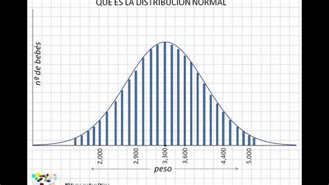 Qué Es El Muestreo De Trabajo 5 Claves Para Entender Su Importancia En